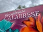 FOODTRUCK Catering - Galerie - Bild 2