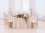 Chiavari Holz Stühle Puder- Gold inkl. Sitzkissen Hochzeits- Stühle mieten Wedding Chairs Chiavary - Galerie - Bild 3