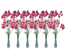 Schmuckkörbchen pink 6er Set