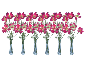 Schmuckkörbchen pink 6er Set