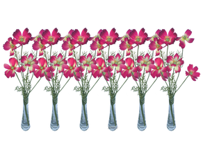 Schmuckkörbchen pink 6er Set