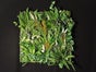 Pflanzenwand - Floral Wall Hanging - Galerie - Bild 2