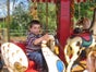 Nostalgiekarussell / Kinderkarussel / Podiumkarussell mieten - Galerie - Bild 2
