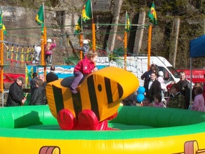 Tigerenten Rodeo Tigerentenrodeo Simulation