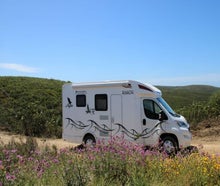 Wohnmobil Águia