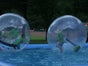Aqua Balls / Aqua Zorbing / Wasserball Arena inkl. Pool mieten - Galerie - Bild 2