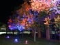 LED Dekolicht , Lichtanlage, Beleuchtung, LED, Lichteffekte - Galerie - Bild 2