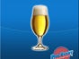 Pils Tulpe 24er Pack inkl. Reinigung - Galerie - Bild 3
