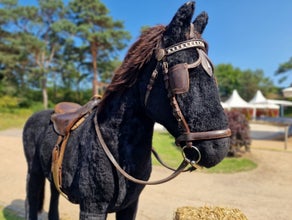 Pferd
