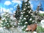 Winterlandschaften - Galerie - Bild 3