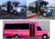 Partybus pink, Schulbus, roter Teppich und Getränke kostenlos incl., Tanzstange! Zudem dürfen Sie kostenlos eigene Getränke mitbringen!
