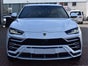 Lamborghini Urus SUV - Galerie - Bild 3