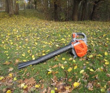 Laubblasgerät