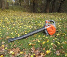 Laubblasgerät