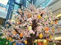 Kirschblüten Baum - Frühlingsbaum - Kirschbaum - Galerie - Bild 2