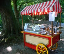 Eiswagen Deluxe, inkl. 19% MwSt.
