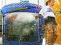 Easy Dunker, Dunk Tank, Cheffe versenken inkl. 19% MwSt. - Galerie - Bild 3