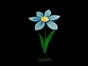 Riesenblumen, Blumen, Wiese, Kunstblumen, Blumenwiese - Galerie - Bild 2