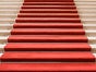 roter Teppich mit Filmfolie (je m²), Messeteppich - Galerie - Bild 3