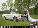 1967er Ford Mustang Cabriolet als Hochzeitsfahrzeug