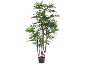 BabyFan Palme 160 cm
