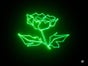 Laser grün 250 - Galerie - Bild 4