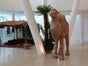 Kamel - Galerie - Bild 2