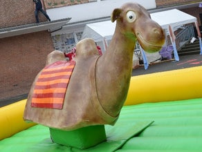 Kamelrodeo - Bullriding Variante inkl. 19% MwSt.