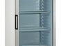 Glaskühlschrank - Galerie - Bild 3
