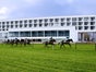 ATLANTIC Hotel Galopprennbahn - Galerie - Bild 2