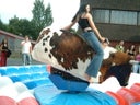 Bullriding - Galerie - Bild 1