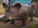 Wildschwein Figur, Wild, Keiler, Waldtier, Wildtier, Tierfigur, Tier