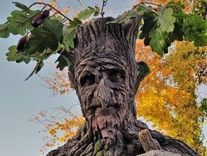 Stelzen Figur  Baum - Stelzenläufer