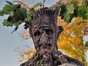 Stelzen Figur  Baum - Stelzenläufer