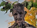 Stelzen Figur Baum - Stelzenläufer - Galerie - Bild 1
