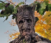 Stelzen Figur Baum - Stelzenläufer