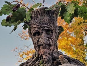 Stelzen Figur Baum - Stelzenläufer