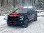 Ford F150 Pick Up mieten 4x4 Raptor Style V8 SUV kein Dodge Ram - Galerie - Bild 3