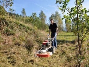 Wiesenmäher / Gestrüppmäher, 60 cm Arbeitsbreite