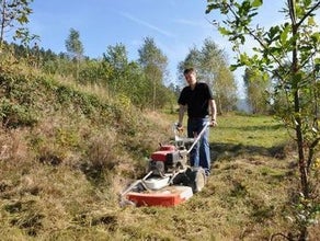 Wiesenmäher / Gestrüppmäher, 60 cm Arbeitsbreite