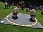 Sumo Wrestling / Sumo Ringen / Sumo Fatsuit - Galerie - Bild 3