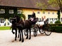 Historische Hochzeitskutsche mit Dach - gezogen von edlen Friesenperden, Hochzeit, Hochzeitsgeschenk, Kutsche,Friesen, Braut, Heiraten - Galerie - Bild 2