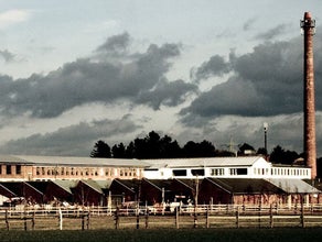 Alte Tuchfabrik