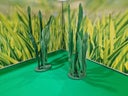 Riesen - Gras - für  Riesenblumen