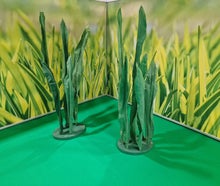 Riesen - Gras - für Riesenblumen