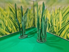 Riesen - Gras - für Riesenblumen