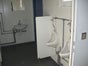 Sanitärcontainer, ca. 6,06 x 2,44 x 2,60, Mietcontainer - Galerie - Bild 2