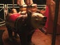 Podiumkarussell, inkl. 19% MwSt. - Galerie - Bild 2