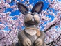 Osterhase, Hase, Ostern - Galerie - Bild 3