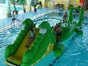 Schnappi, aufblasbare Wasser-Hüpfurg mit Spielelementen inkl. 19% MwSt. - Galerie - Bild 3